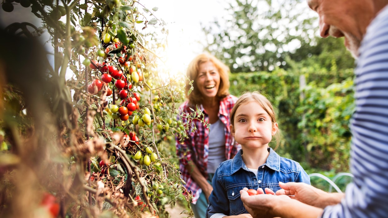 Un couple de personnes âgées partage du bon temps avec leur petite fille dans un jardin communautaire.