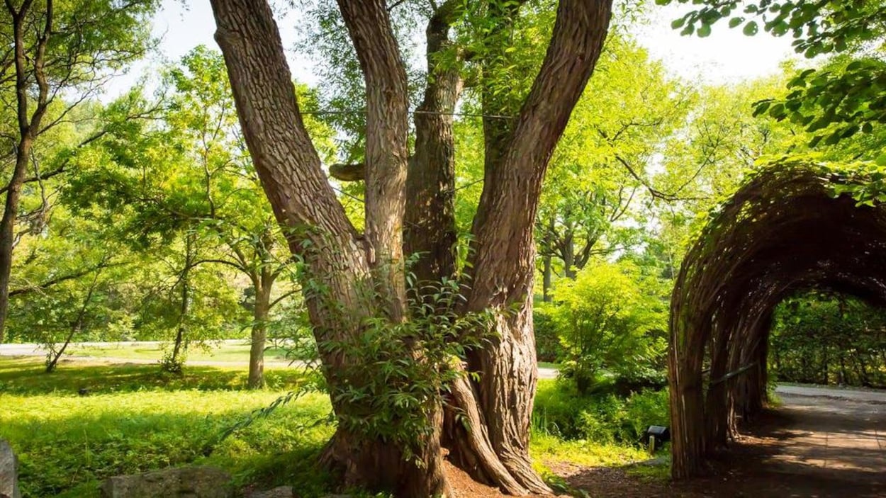 Un nouveau nom pour le Jardin des Premières-Nations