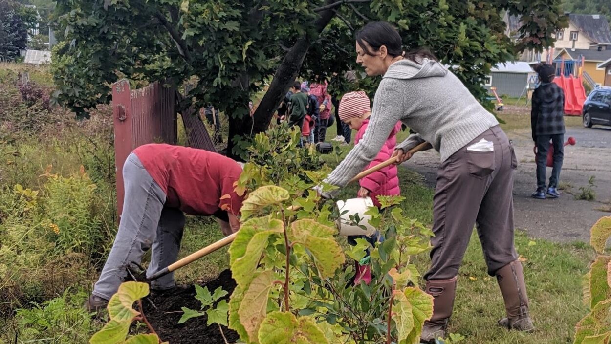 Des gens plantent des arbres dans une cour d'école.