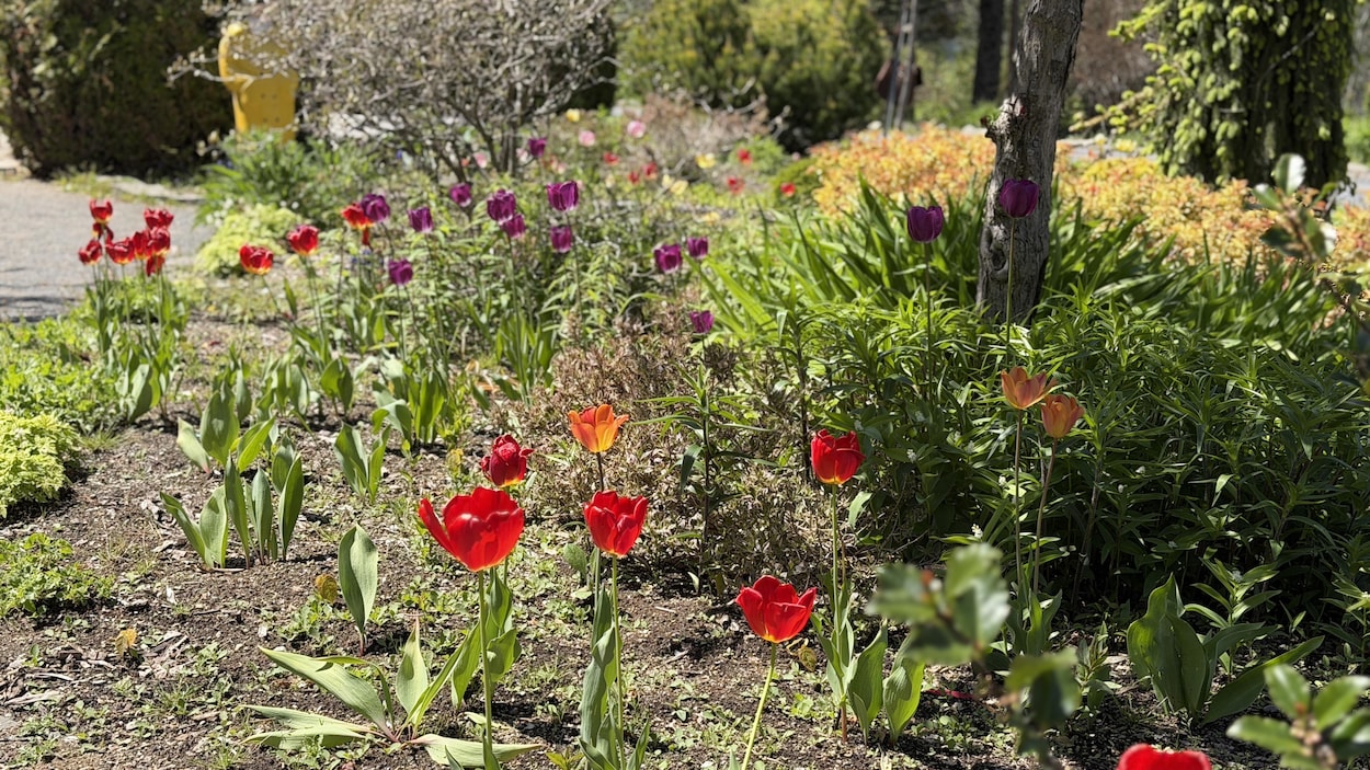 Matane signe un projet pilote sur la gestion des Jardins de Doris