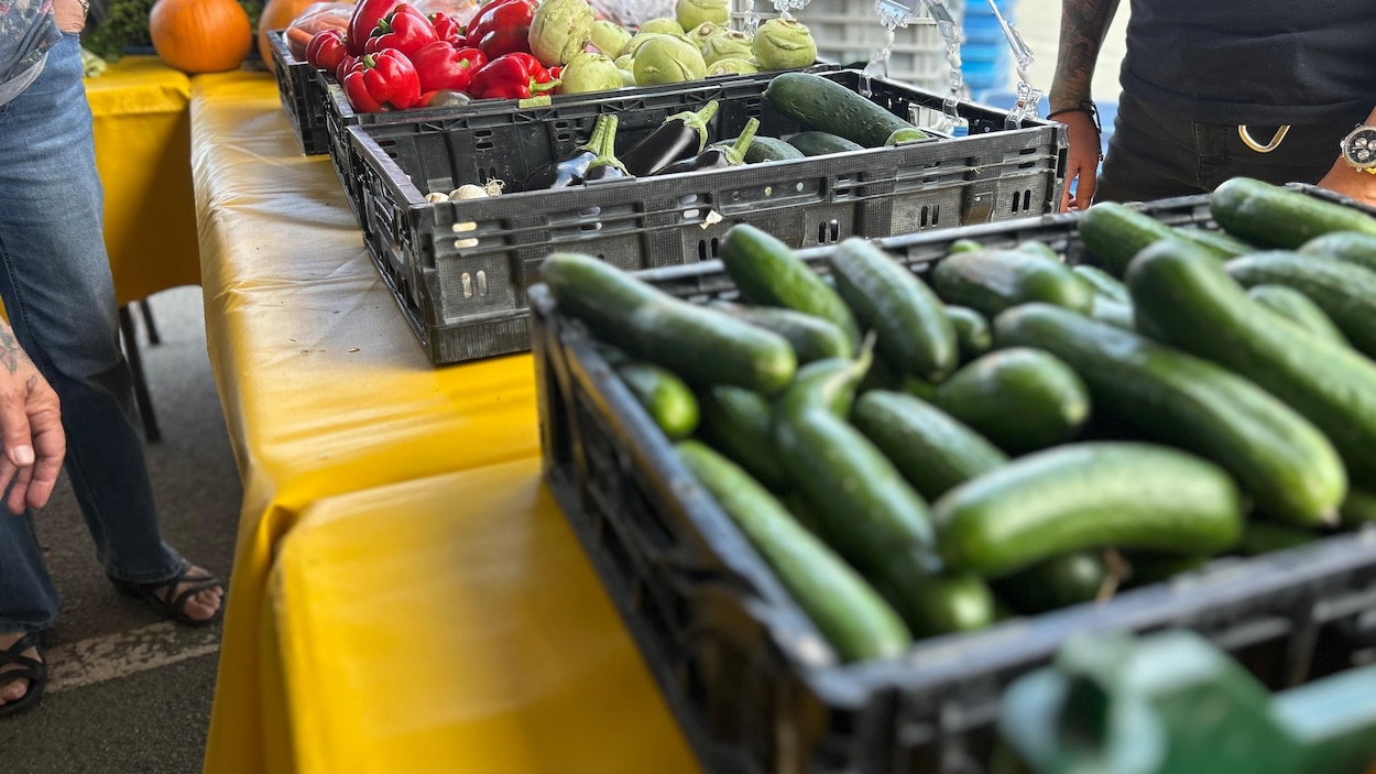 Le District Lupel veut faire goûter Trois-Rivières au marché public