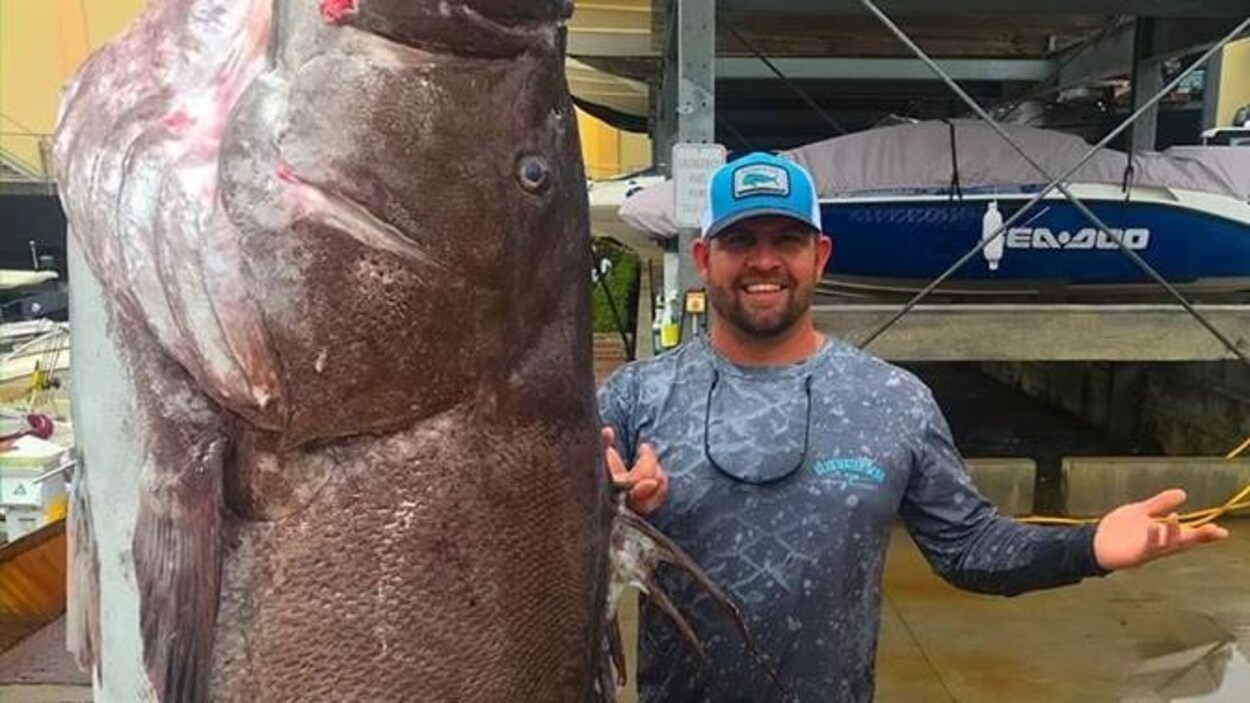 Un homme souriant se tient à côté d'un énorme poisson suspendu à un crochet.