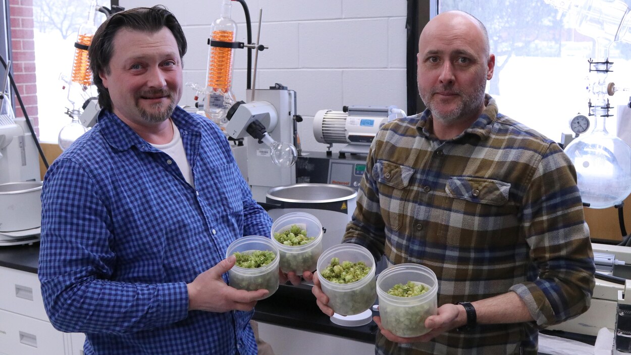 Deux hommes dans un laboratoire avec des contenants remplis de houblon.