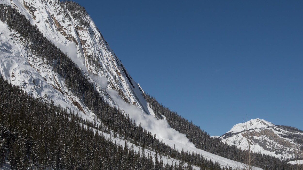 Une avalanche près de Down Mountain dans le parc national Jasper.