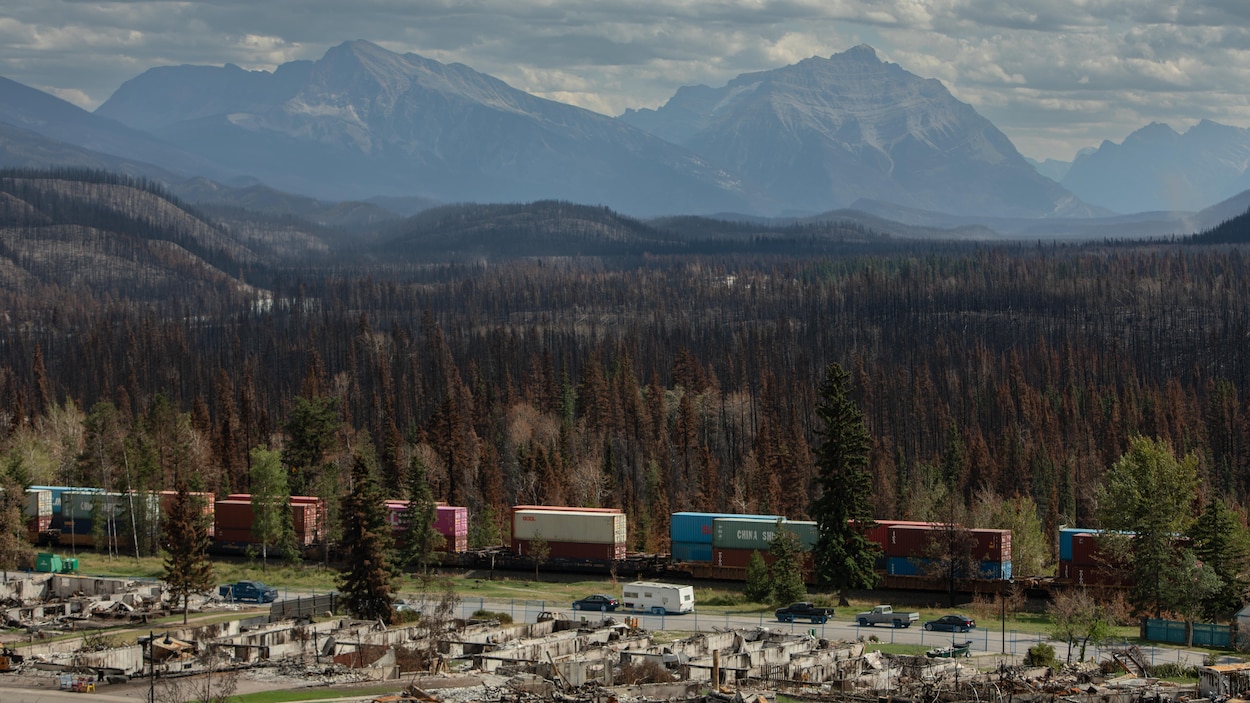Le parc national Jasper renaît de ses cendres