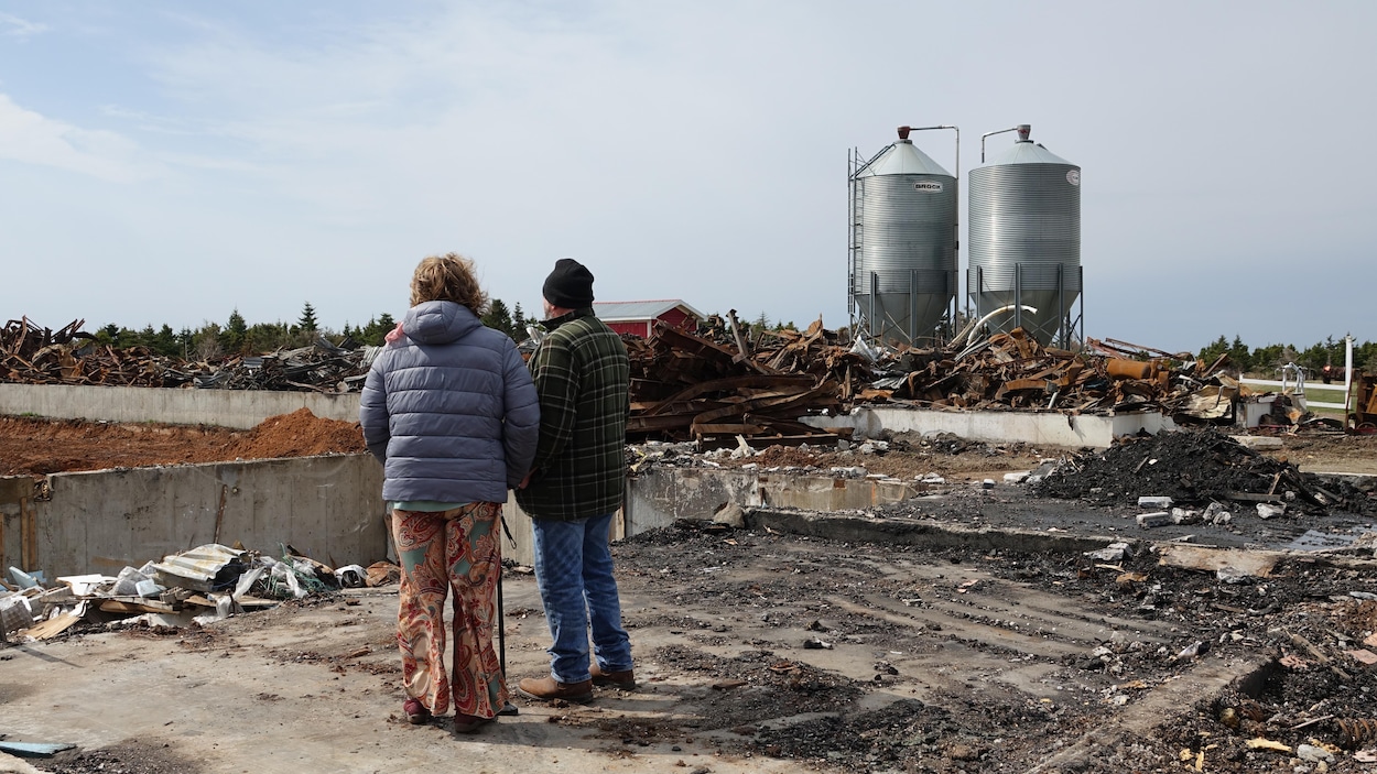 La survie de plusieurs entreprises agroalimentaires des Îles est menacée