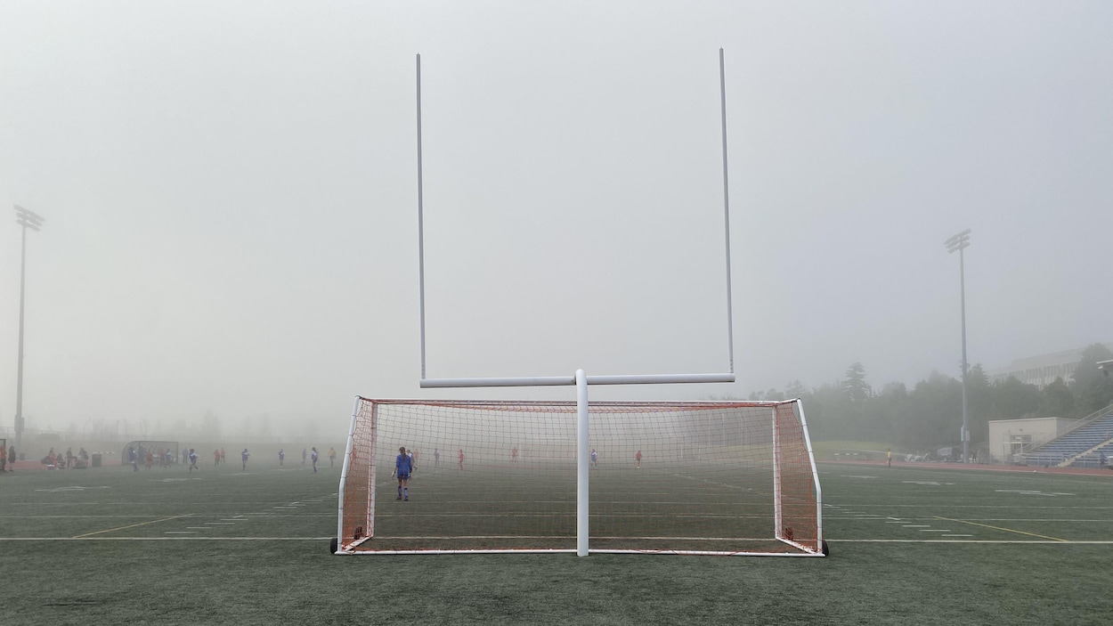 Vers une ligue de soccer semi-professionnelle en Atlantique