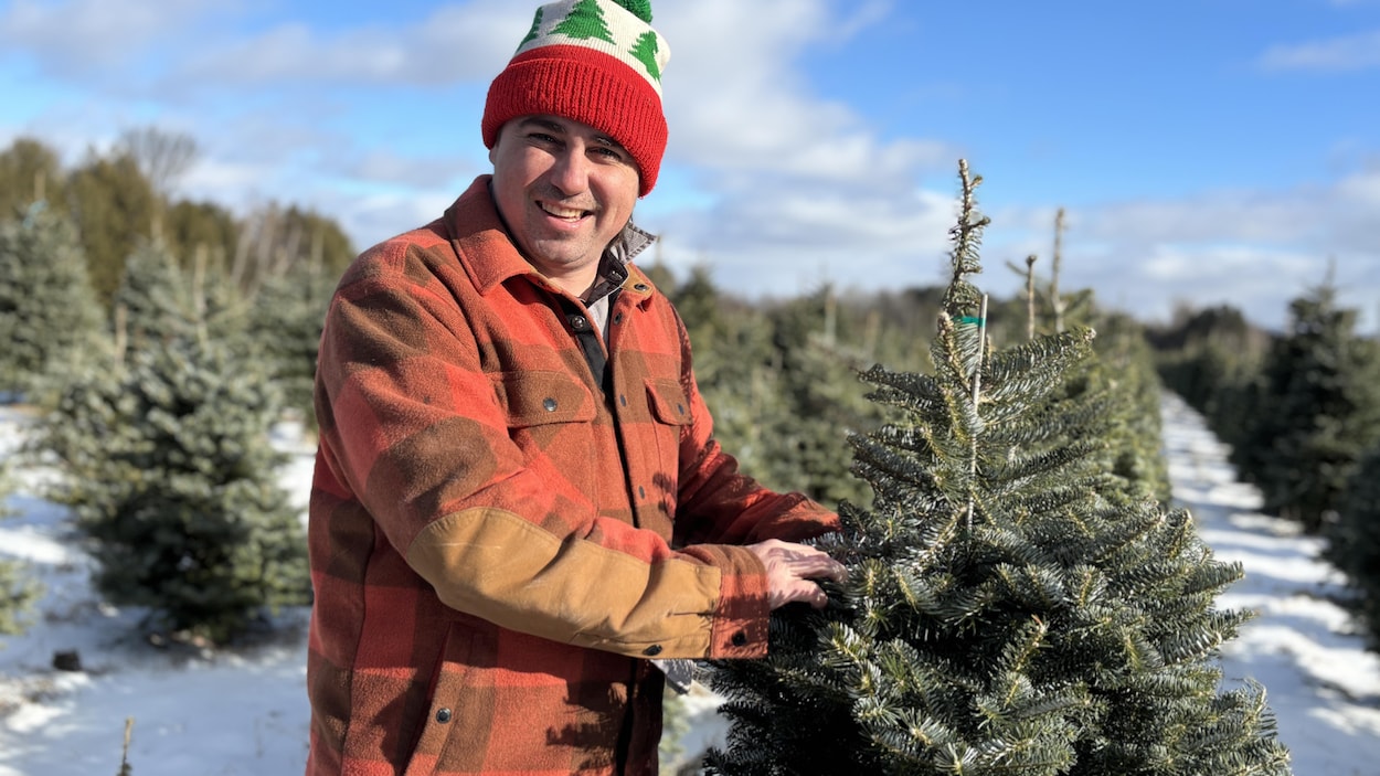 Un producteur d’arbres de Noël d’Hatley propose une nouvelle variété plus résistante