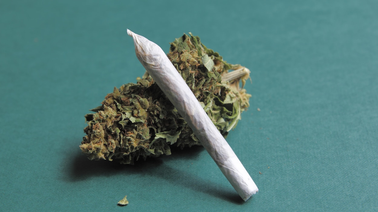 Un joint de marijuana. Un joint de marijuana.