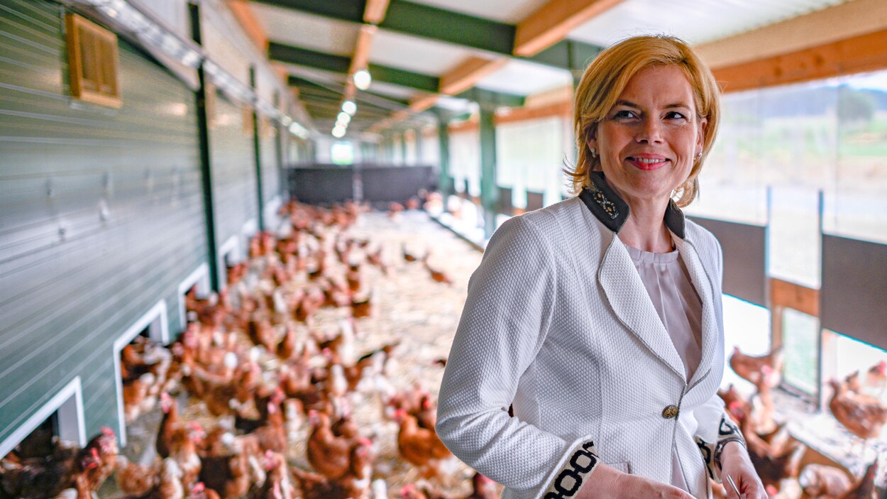 Julia Klöckner pose dans un poulailler.