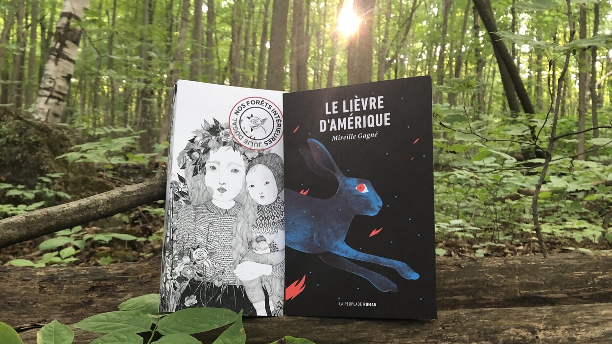 Les deux livres sont debout sur un tronc d'arbre au sol, dans la forêt. Une percée de soleil à travers les feuillus semble braquer un projecteur arrière sur les livres.