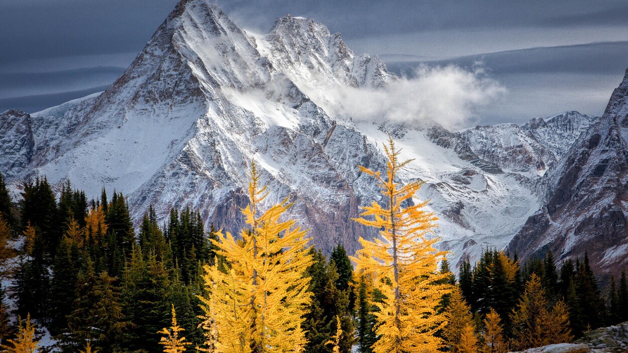Des montagnes enneigées imposantes avec en arrière-plan une forêt de conifères et de feuillus en automne.
