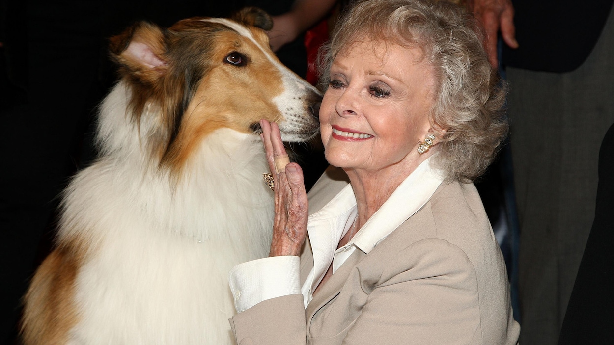 L’actrice américaine June Lockhart s’éteint à l’âge de 100 ans