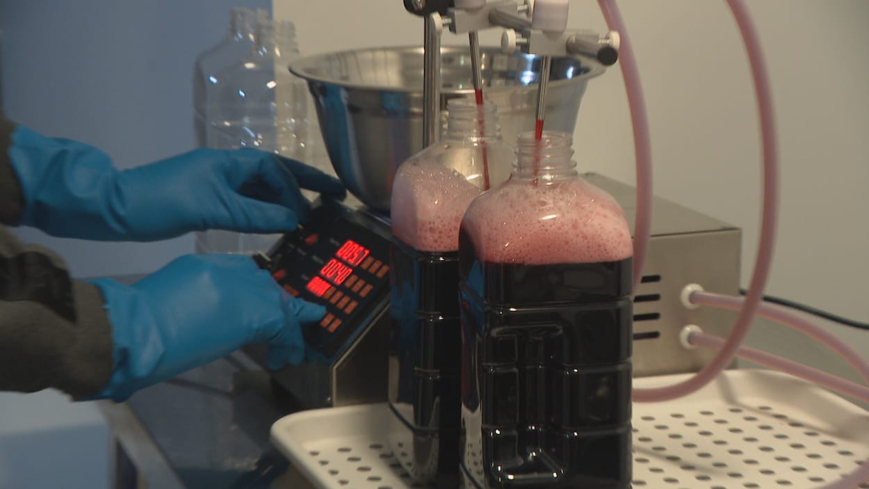 Fabriquer des jus pour réduire le gaspillage alimentaire au N.-B.