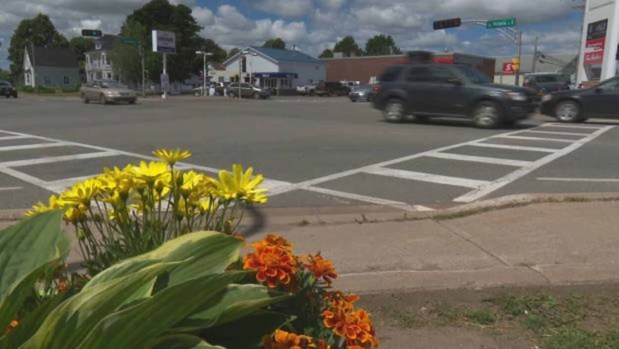 L'intersection principale de la municipalité de Kensington, à l'Île-du-Prince-Édouard. L'intersection principale de la municipalité de Kensington, à l'Île-du-Prince-Édouard.