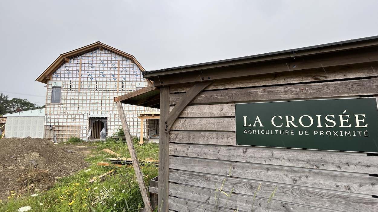 Un marché pour remplir le panier des clients et vider les tablettes des producteurs locaux