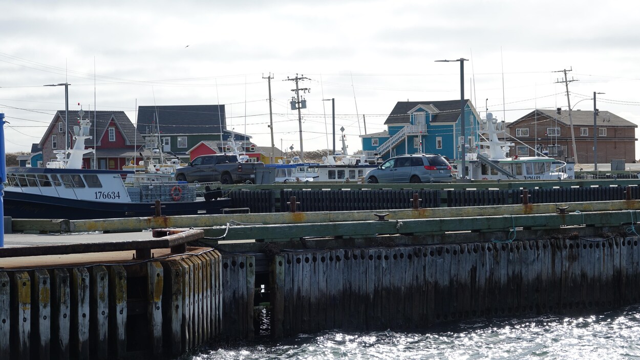 Près de 42 M$ pour les ports pour petits bateaux madelinots | Radio-Canada