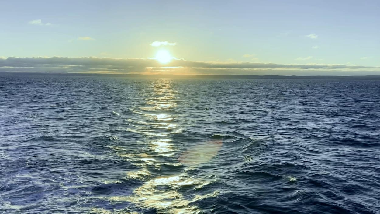 Une petite accalmie pour les eaux du golfe