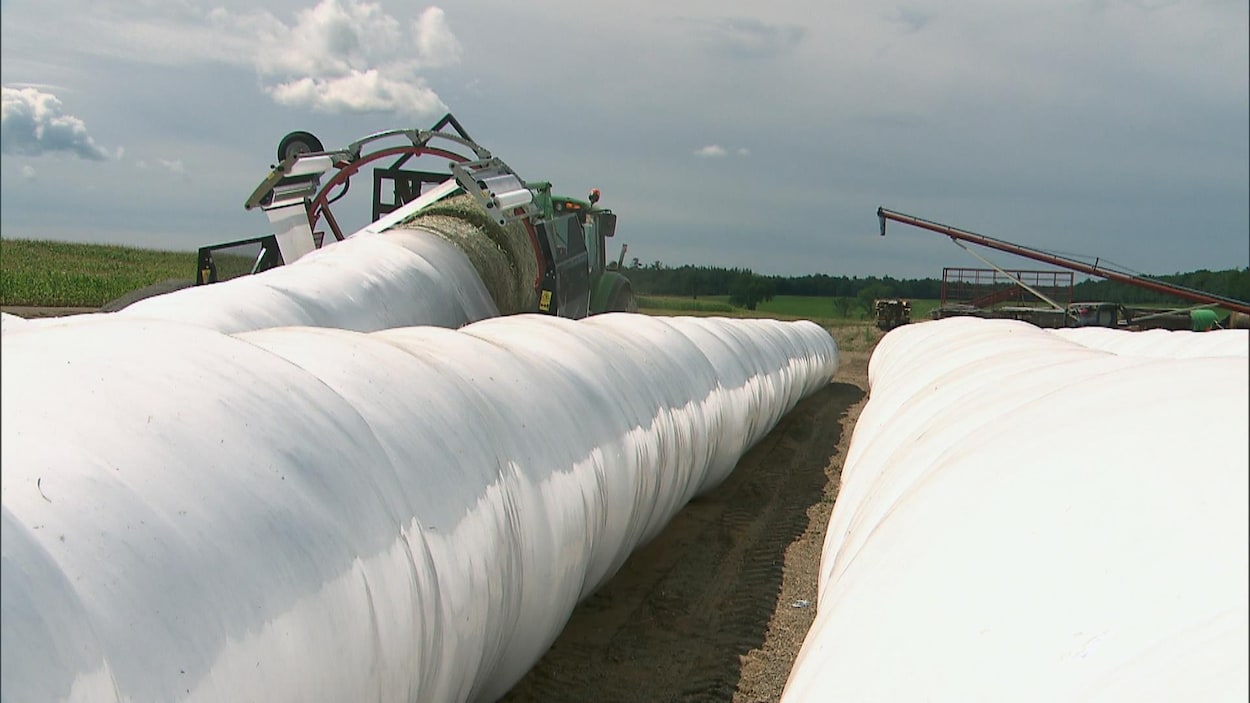 Un nouveau service intermunicipal pour recycler les plastiques agricoles