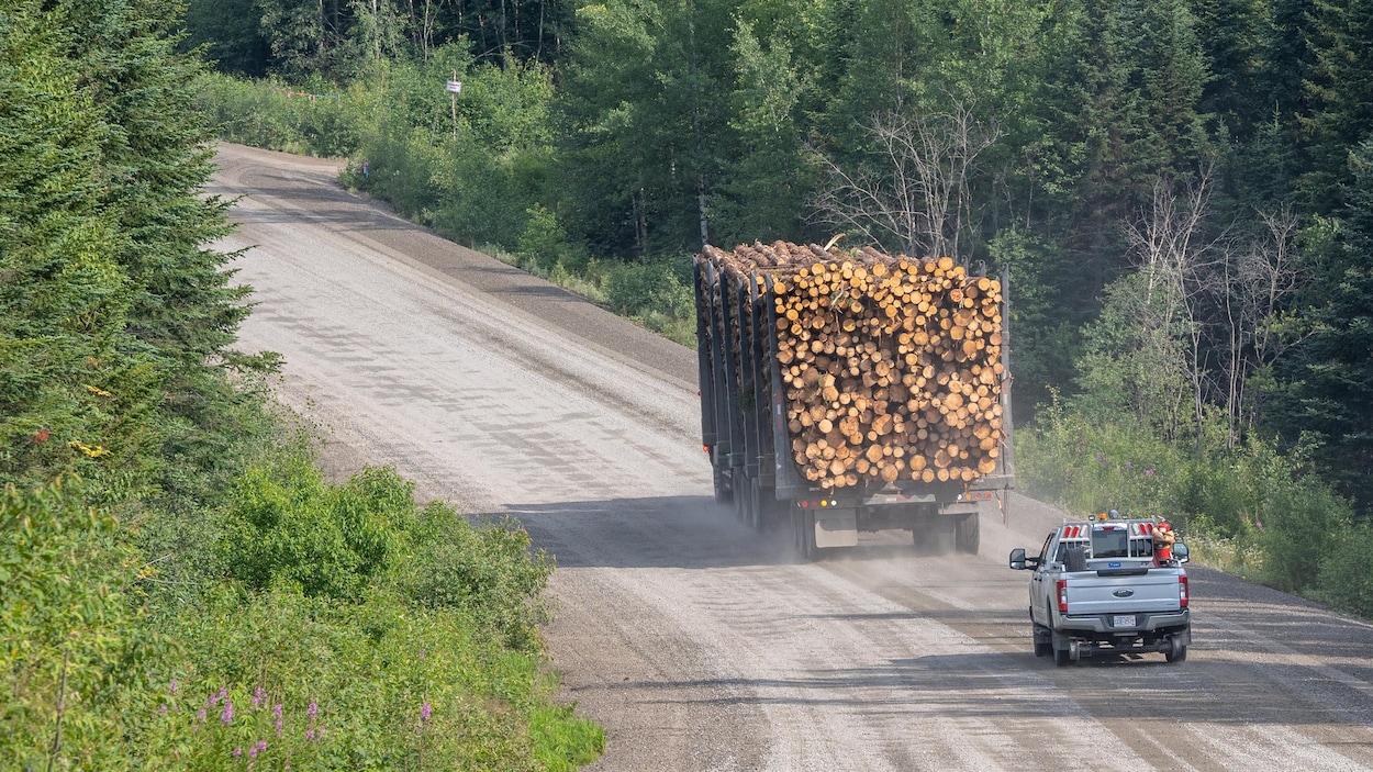 Route Maniwaki-Témiscamingue : il y a eu « confusion », dit le maire de Maniwaki