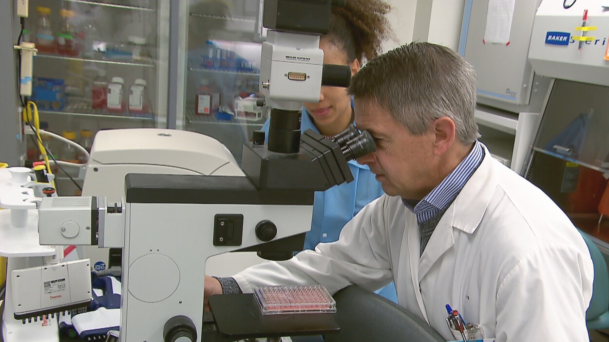Un microbiologiste étudie des échantillons en regardant dans un microscope.