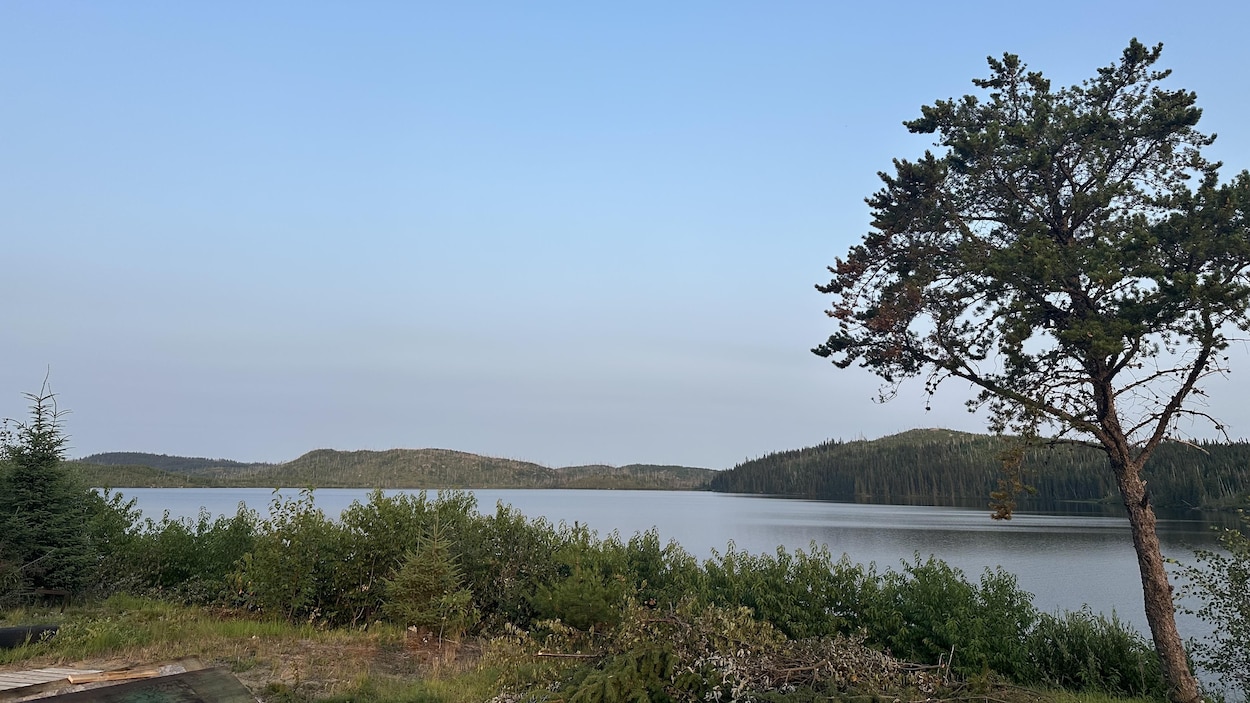 La quête d'une Atikamekw pour protéger son territoire familial