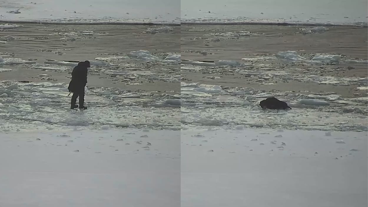 Poussettes sur la glace à Toronto : la police redoute un drame