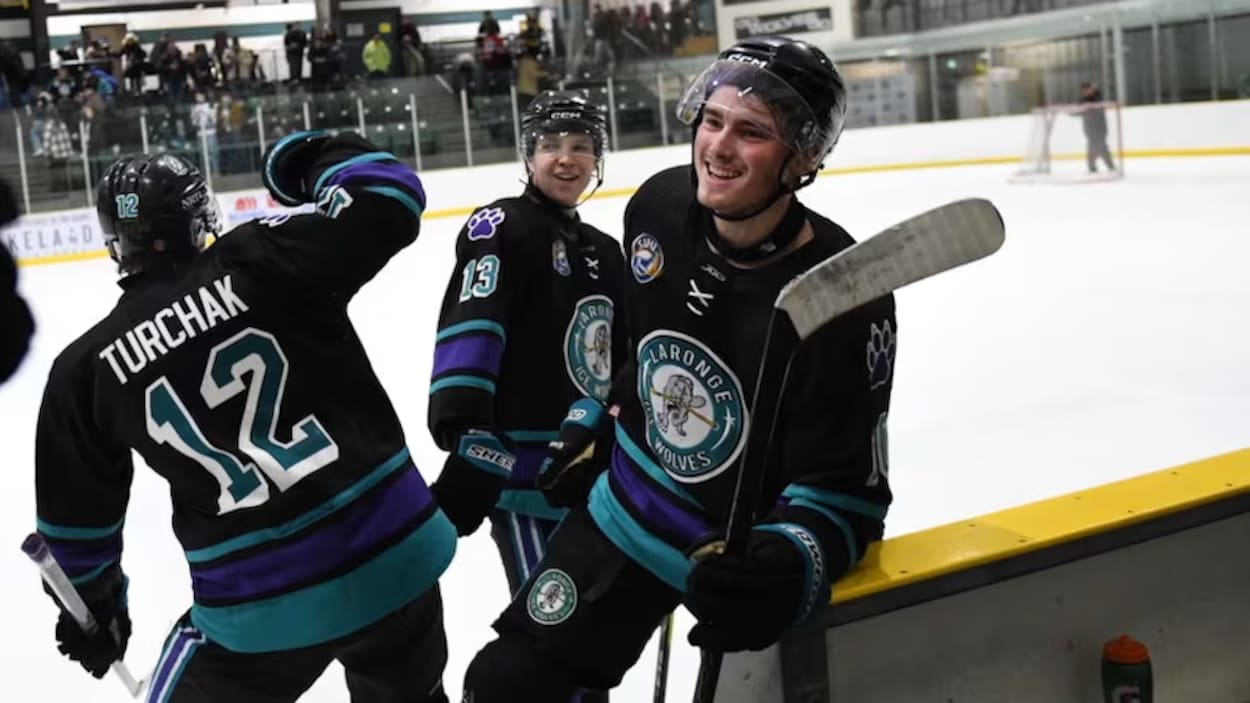 Des loups et des poissons sur la glace : la fierté autochtone brille grâce au hockey