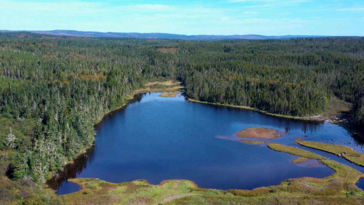 Le Nouveau-Brunswick sommé de mieux protéger l’eau