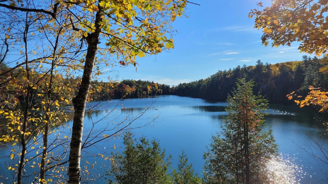 Des amendements en vue pour le projet de loi de protection du parc de la Gatineau