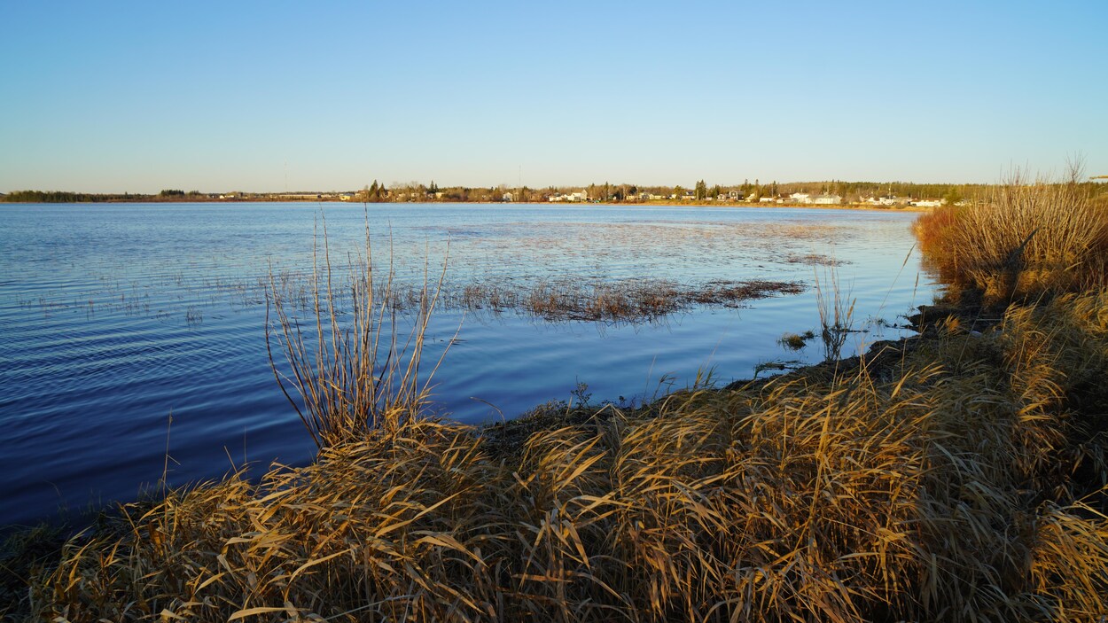 Le Bureau de santé Porcupine confirme être au courant de cas de