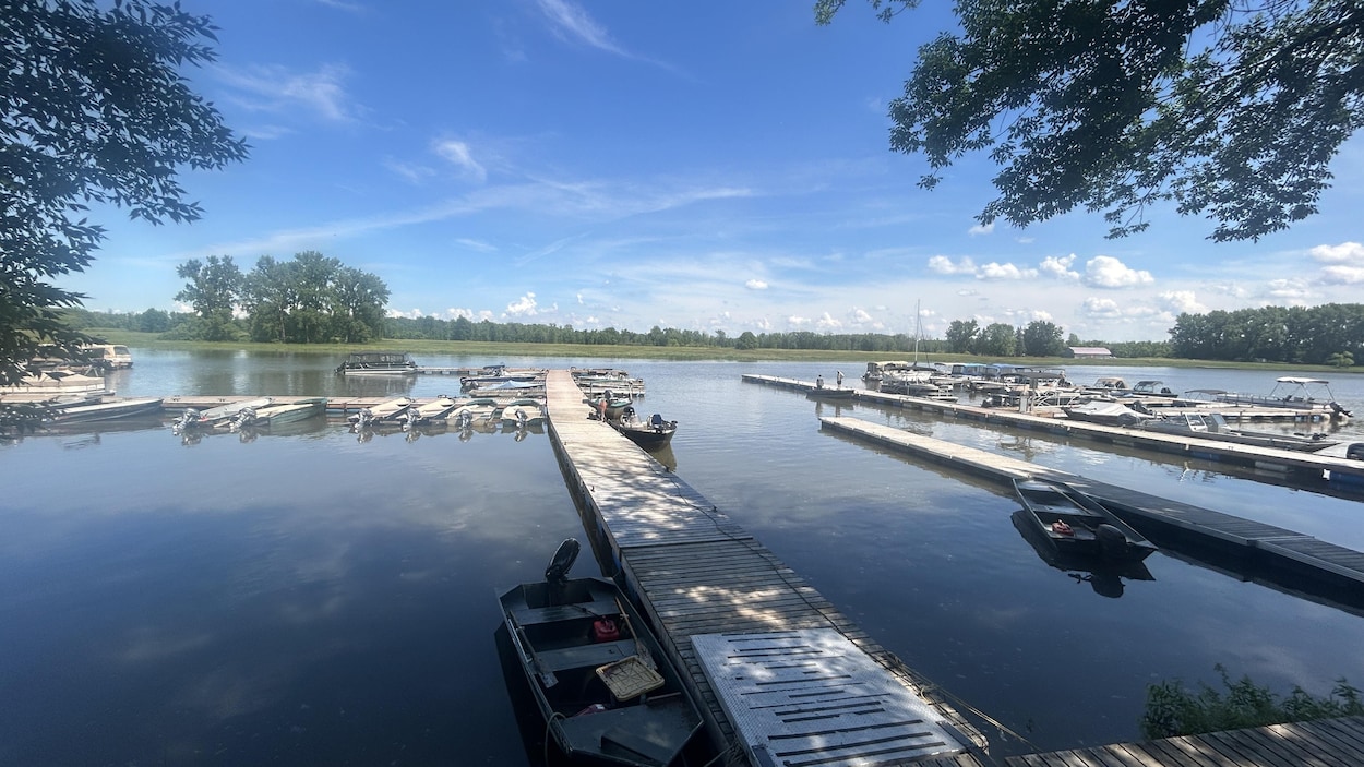 Des « contaminants éternels » en grande quantité dans les poissons des lacs du St-Laurent