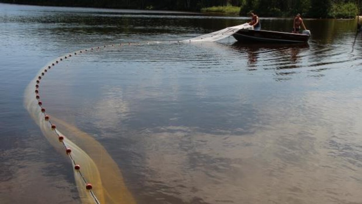L'un des lacs de la Région des lacs expérimentaux. L'un des lacs de la Région des lacs expérimentaux.
