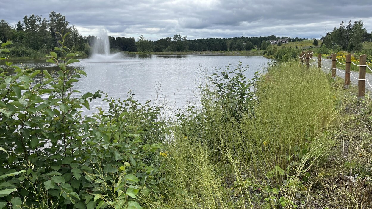 Kedgwick rend hommage à JeanPaul Savoie et nomme deux lacs en sa mémoire RadioCanada