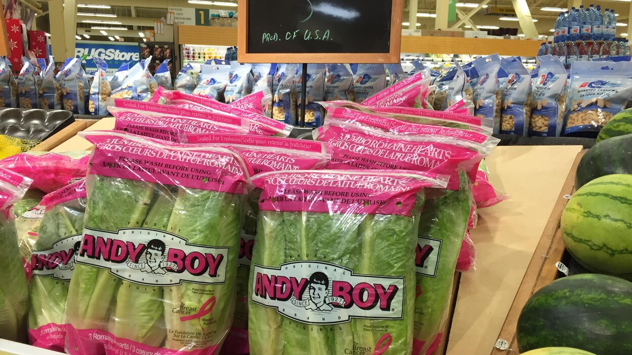 De la laitue romaine en sac, à l'épicerie. De la laitue romaine en sac, à l'épicerie.