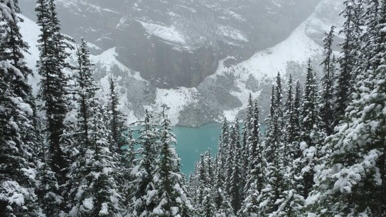 Vue du lac Louise au parc national Banff.
