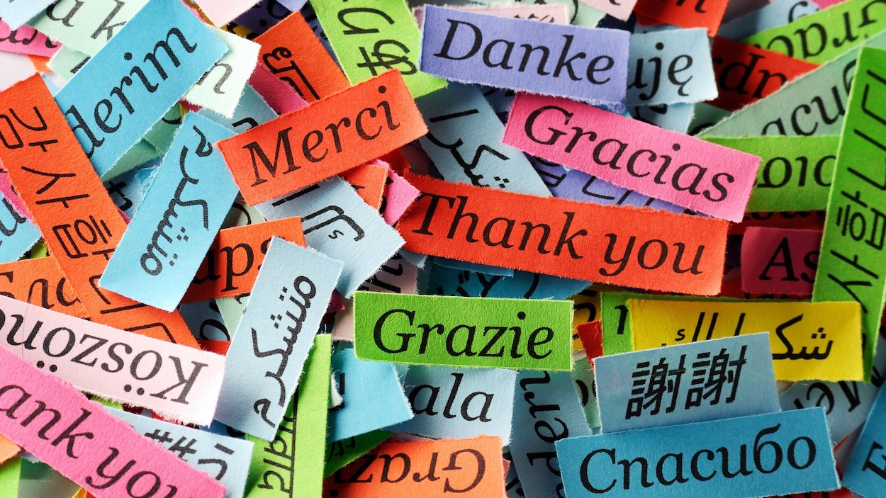 Le mot "Merci" en différentes langues. 
