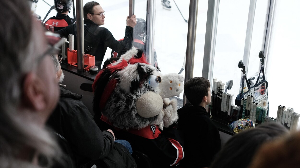 Huskies contre Foreurs : « Je suis là pour découvrir le sport »