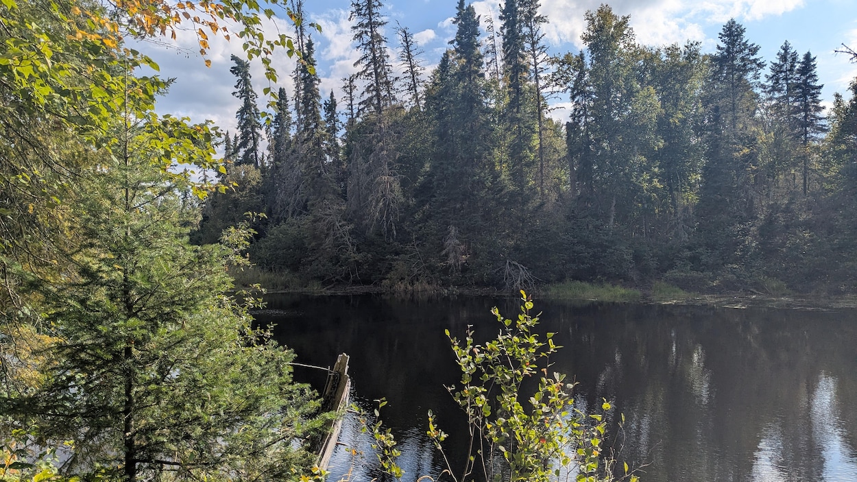 Aires protégées : la MRC de Témiscamingue veut avoir son mot à dire