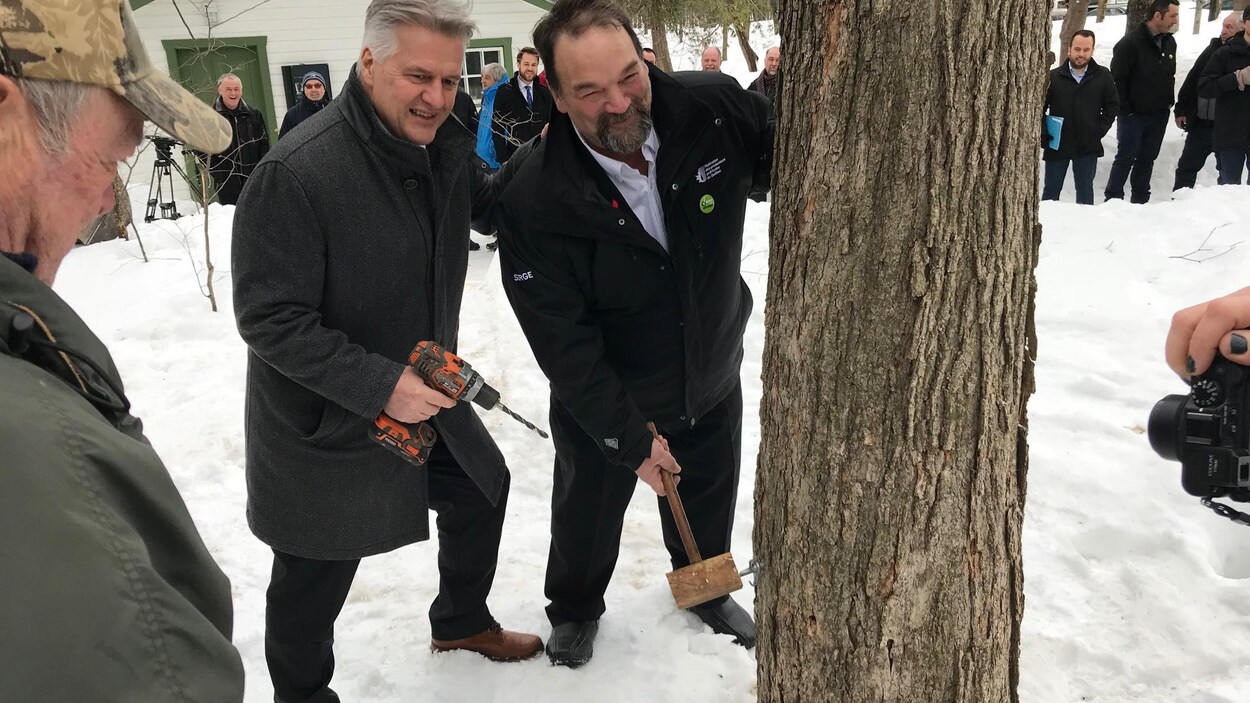 Le ministre de l'Agriculture, des Pêcheries et de l'Alimentation, Laurent Lessard, et le président de la Fédération des producteurs acéricoles, Serge Beaulieu, entaillent un érable au parc du Bois-de-Coulonge. Le ministre de l'Agriculture, des Pêcheries et de l'Alimentation, Laurent Lessard, et le président de la Fédération des producteurs acéricoles, Serge Beaulieu, entaillent un érable au parc du Bois-de-Coulonge.