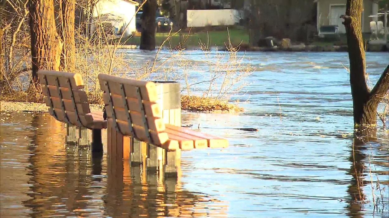 Des bancs de parc Des bancs de parc