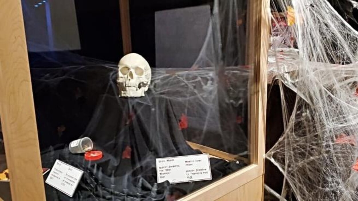 Vue d'un crâne exposé.