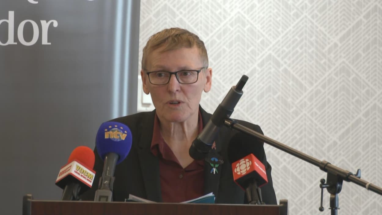 Une épidémie de violence fondée sur le genre sévit à T.-N.-L., dit le gouvernement
