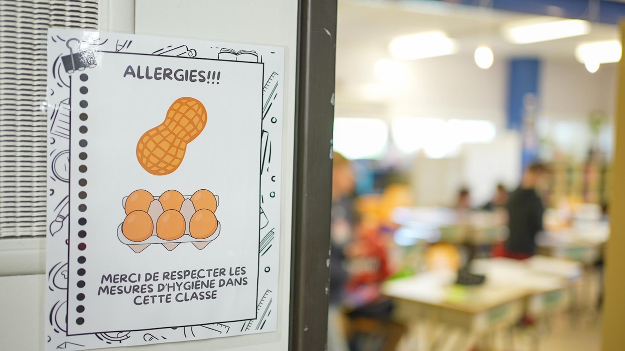 Et si on permettait les arachides dans les écoles?