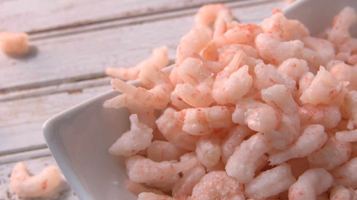 La pêche à la crevette nordique au Québec : une pratique en voie de disparition