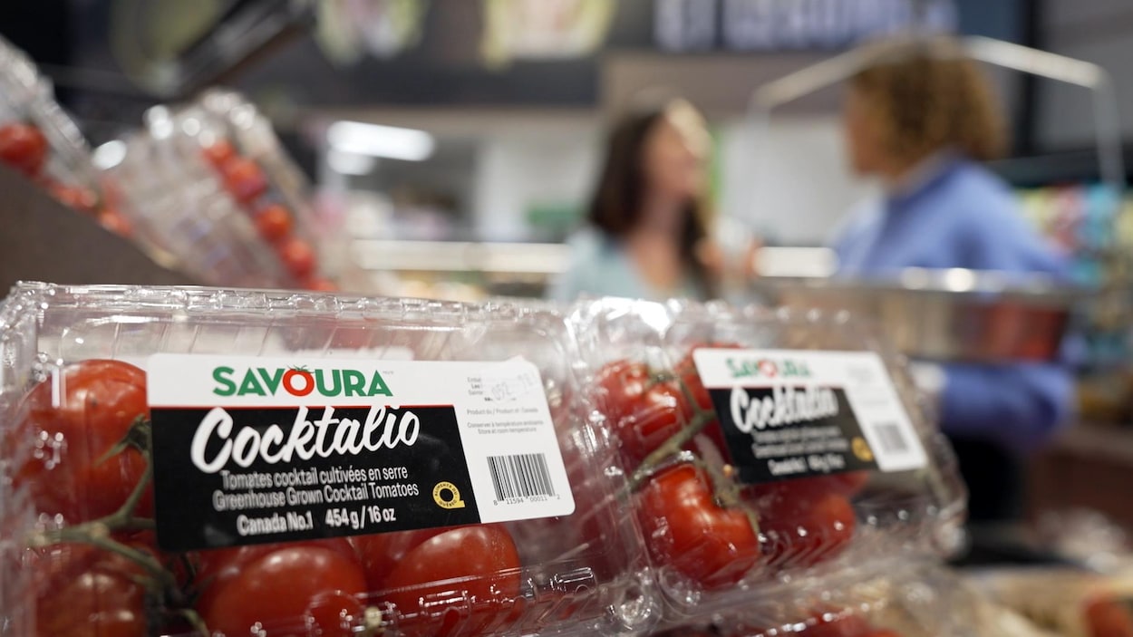 Savoura rachètera la majorité des actifs des Productions Horticoles Demers