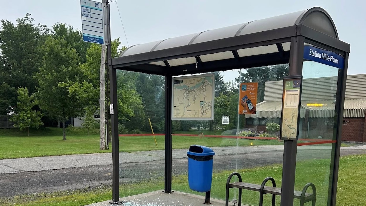 Des abribus de la STLévis vandalisés