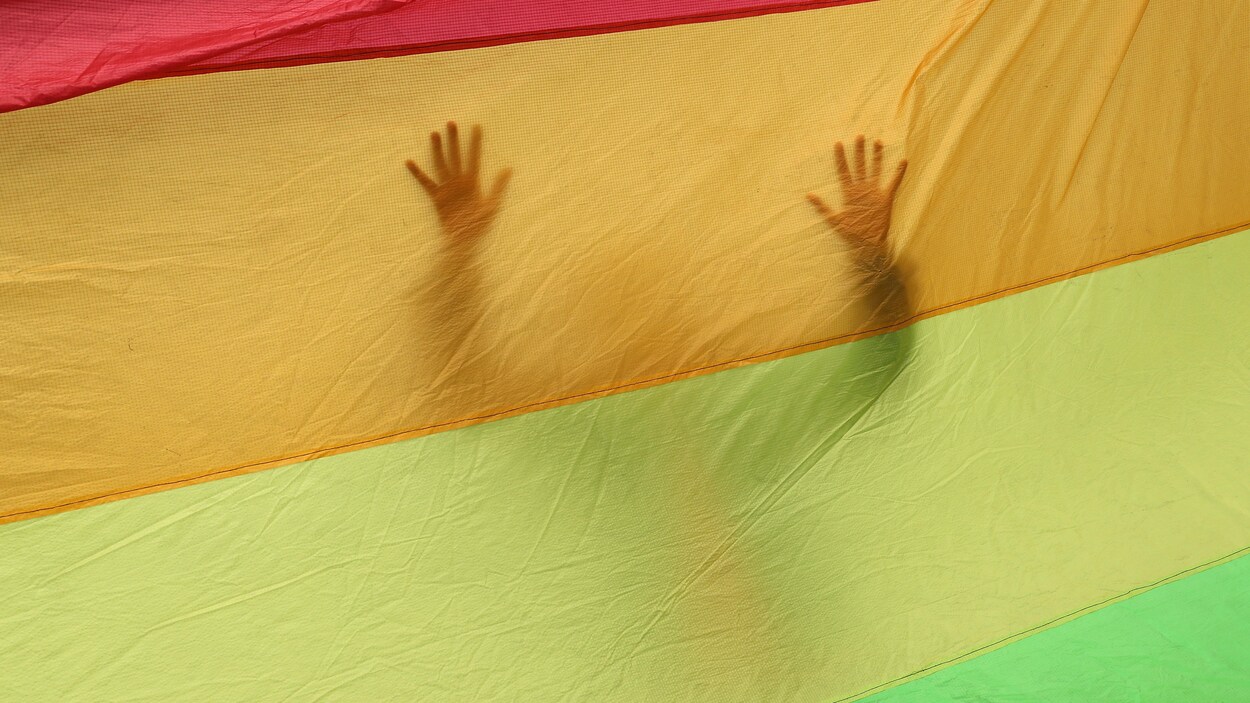 Une silhouette se dessine dans un immense drapeau arc-en-ciel