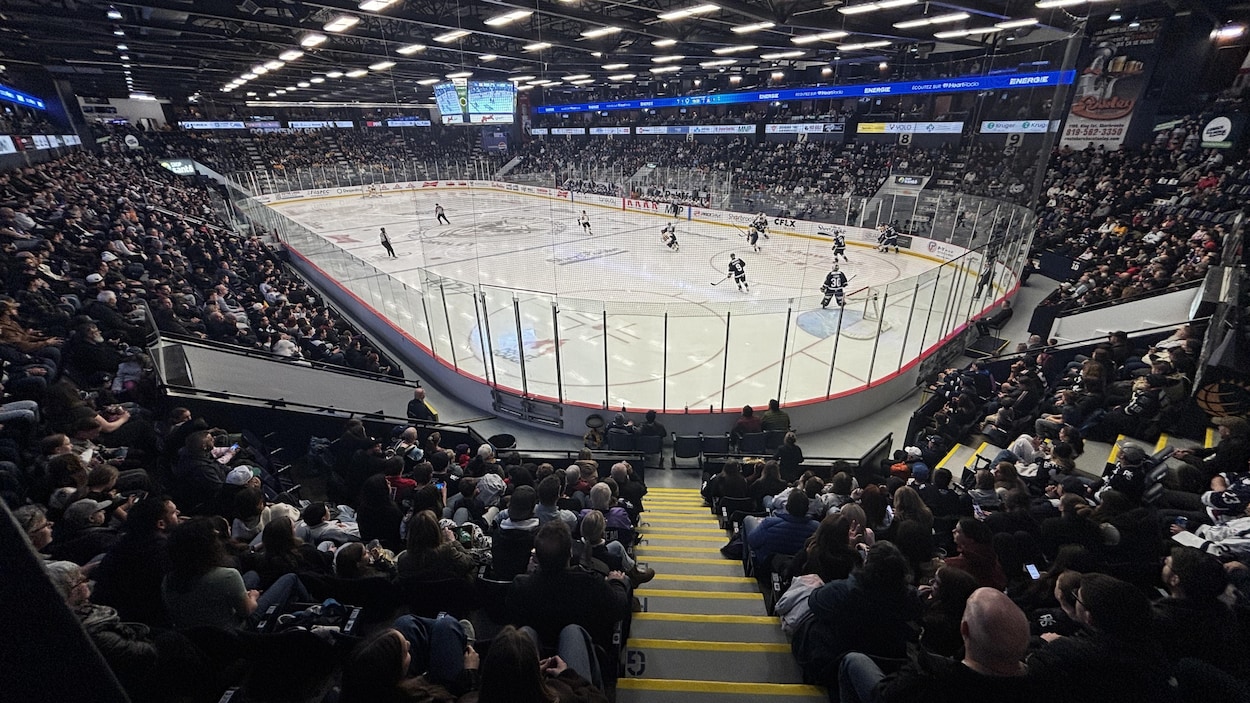Un match ultime départagera le Phoenix et les Cataractes