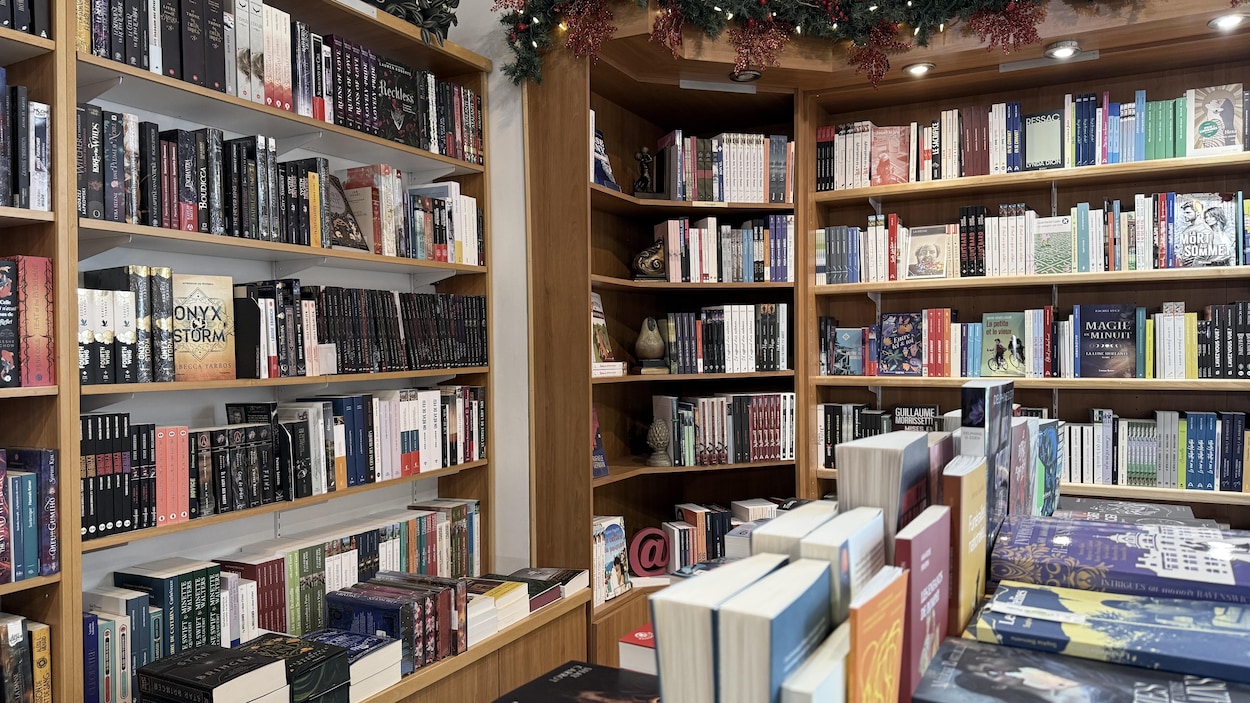 Romance et racines ont captivé les lecteurs de la Côte-Nord en 2025